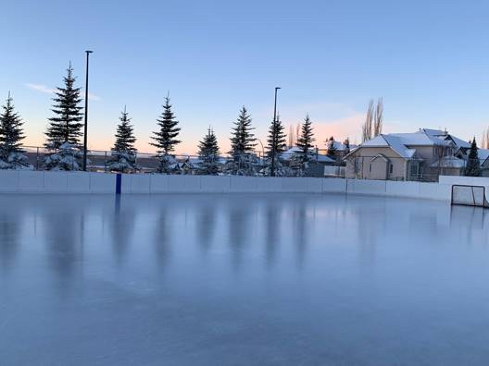 Signal Hill outdoor hockey rink at dusk, fresh sheet of ice with two hockey nets, snow-covered evergreens behind the boards, neighbouring houses lit pink by the winter sunset.