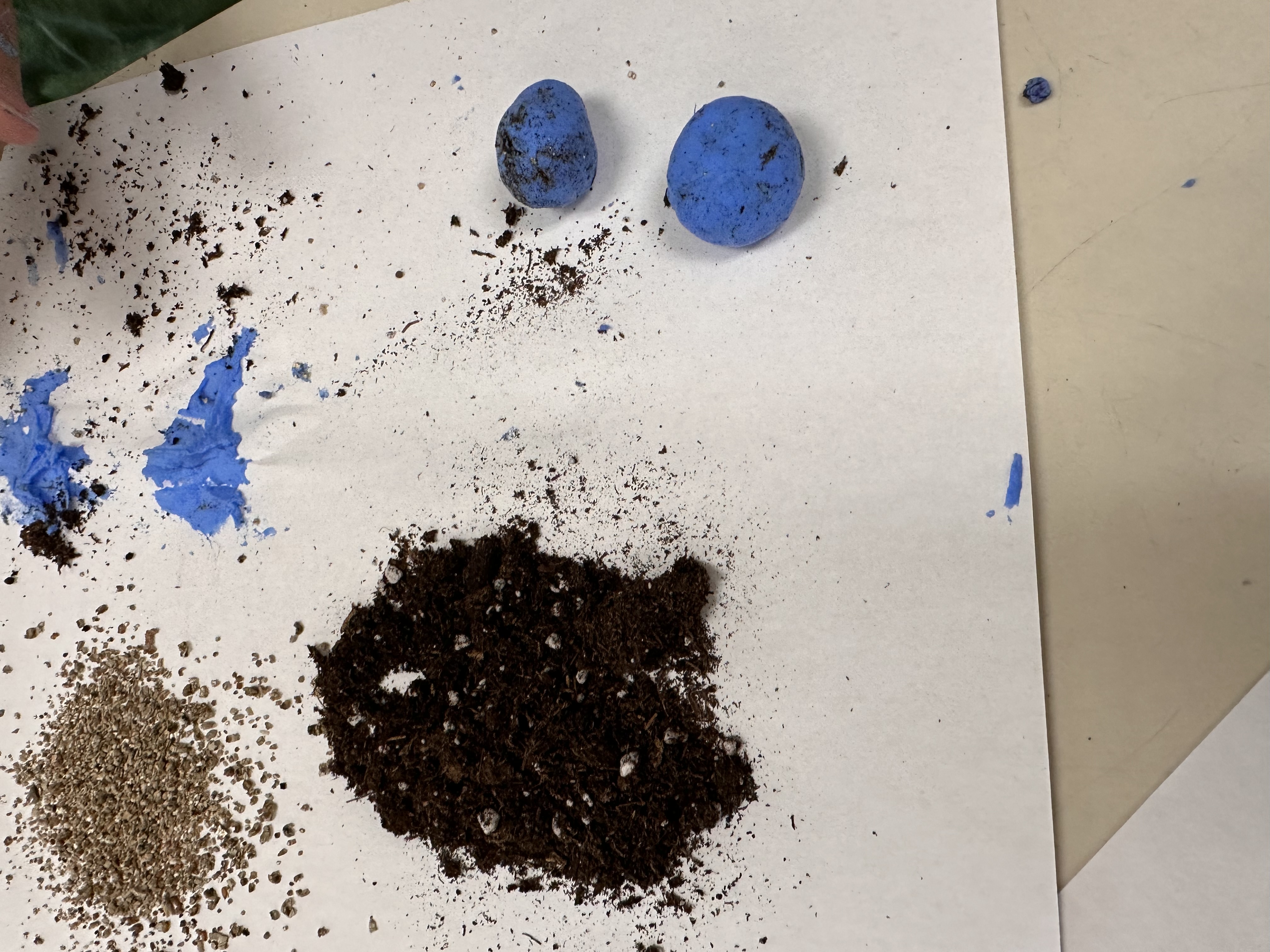 Finished blue wildflower seed bombs alongside soil and native seeds