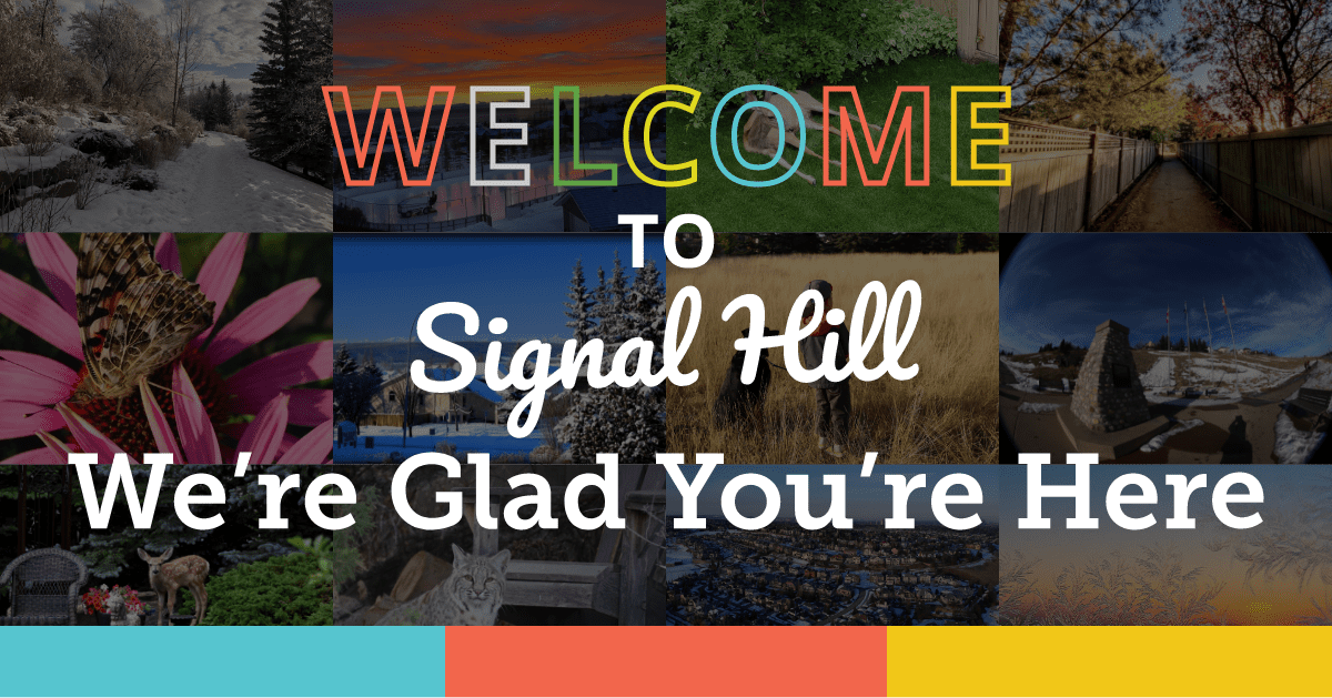 All You Need To Know About Signal Hill Community Association